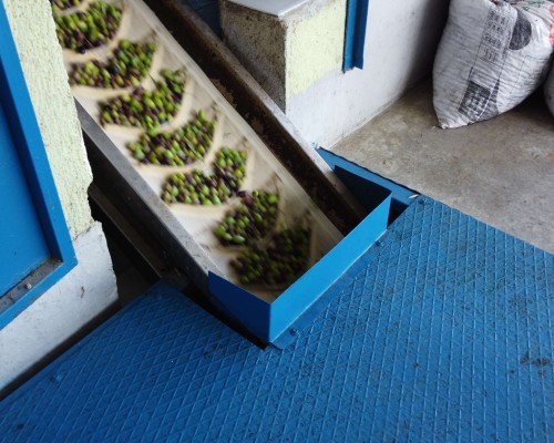 Fabrikada ilk adım...