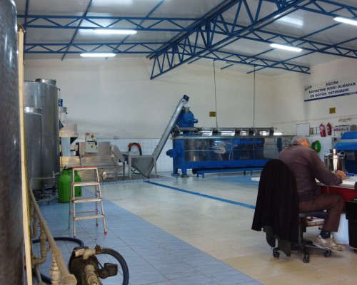 Zeytinyağı sıkma fabrikası