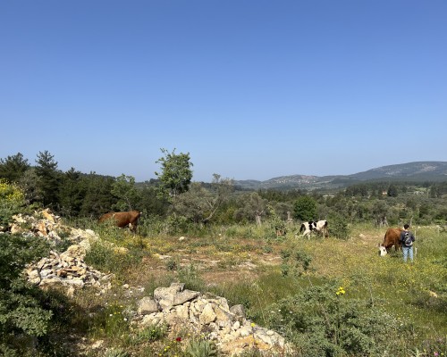 Yolanda Çiftliği ve dostlarımız..