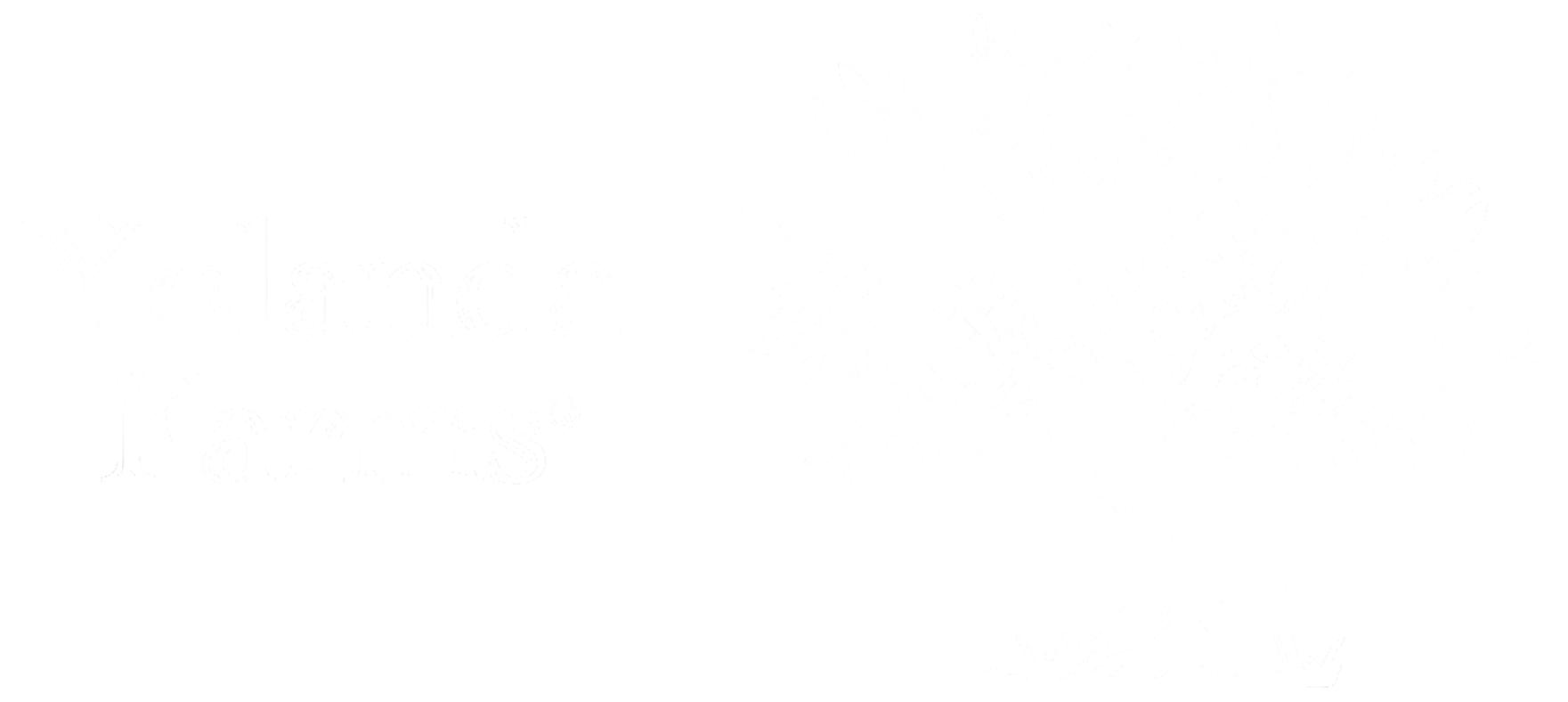 Yolanda Farms® Olive Oil