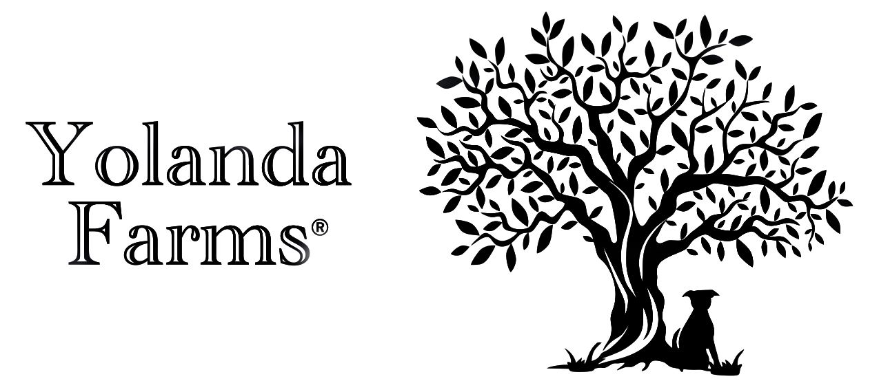 Yolanda Farms® Olive Oil